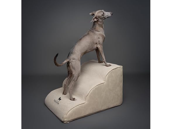 Noah & Paw Rounded Dog Stairs