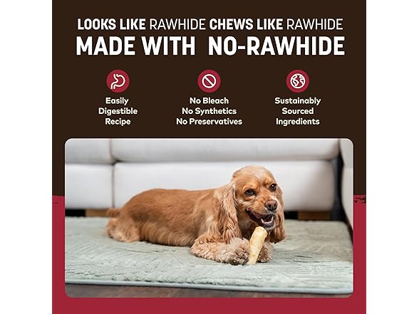 Earth Animal No Hide Chews