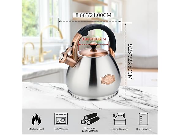 Tea Kettle Stovetop