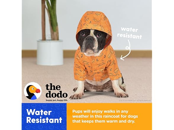 The Dodo Rainy Days Printed Raincoat for Dogs, Orange, Large