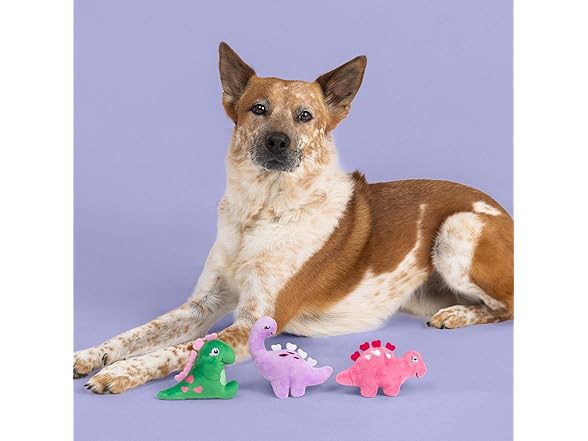 Fringe Studio Plush Squeaky Dog Toy, 3 Pc