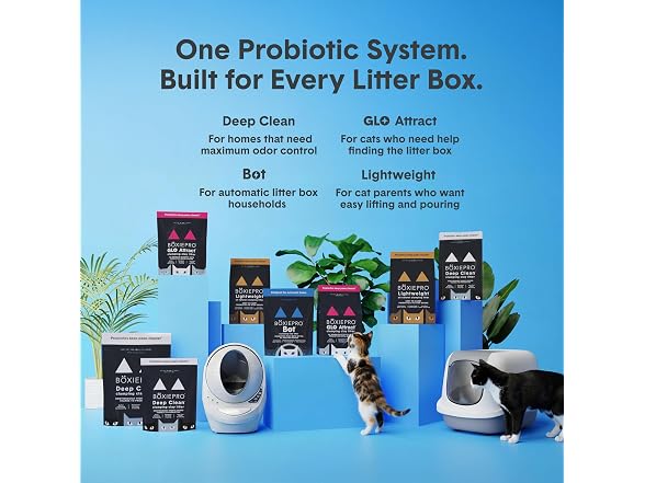 Boxie Probiotic Cat Litter, 40 Day Odor Contr