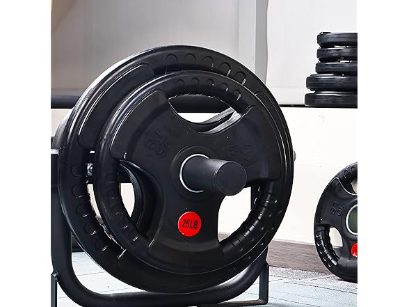 Signature Fitness Cast Iron, 25LB Pair
