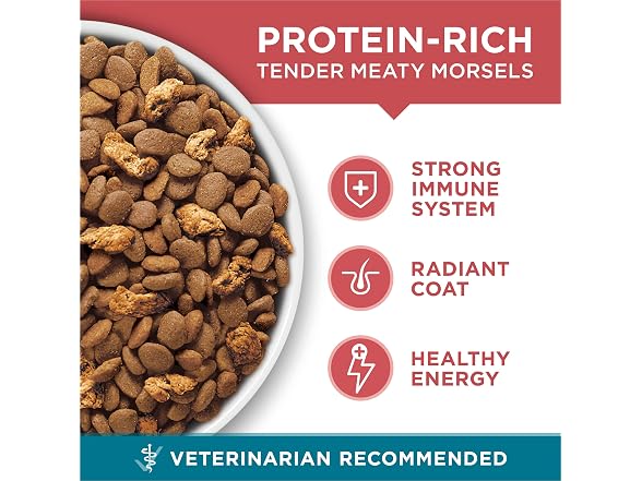 Purina ONE Natural Dry Cat Food, Tender Selects Bl