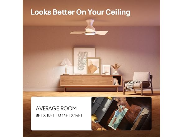 Consciot Ceiling Fan With Lights 30 Inch