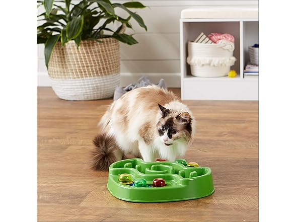 Amazon Basics Pet Activity Center and Feeder, Green