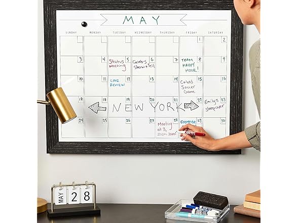 EXPO Dry Erase Fine Tip Markers, 12 Count