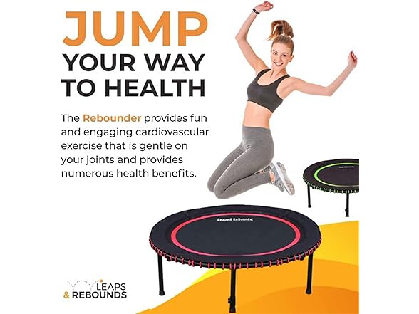 Leaps & Rebounds Bungee Rebounder V2