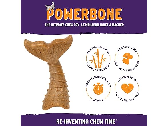 The Chew Club Power Bone Pet Chew Toy for Dogs