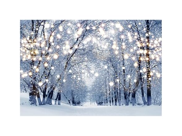 Funnytree 7x5ft Winter Scene Backdrop