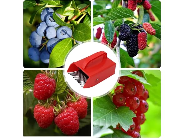 banapoy CON-28 Blueberry Picker