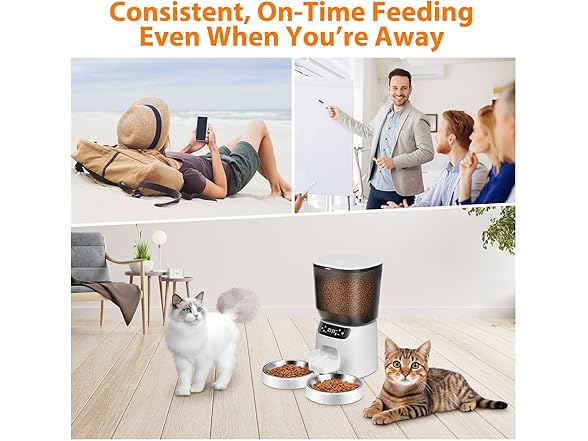 Katalic Automatic Cat Feeders