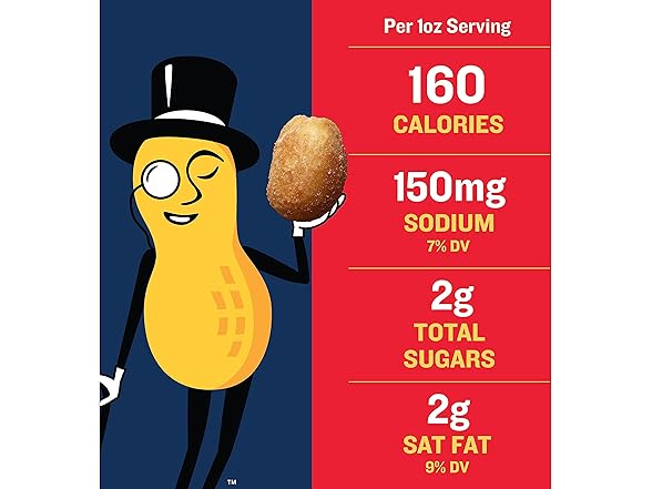 PLANTERS Salted Peanuts, Dry Roasted Peanuts, 16 oz