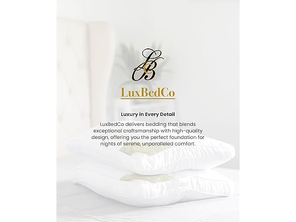 Standard Premium Pillows Set