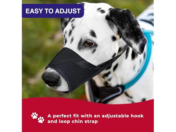 Coastal Pet Best Fit 13" (X-Large)