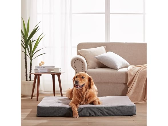 Cooling Dog Beds