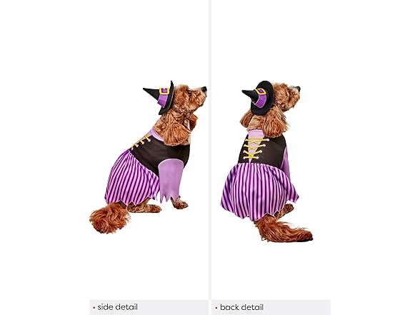 Rubies Witch Pet Costume for Dogs or Cats