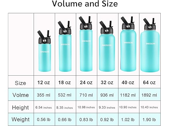 MEISON Insulated Water Bottle With Straw