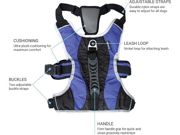 No-Pull Dog Harness Blue Dog Harness