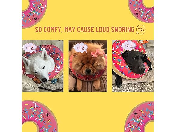 Dirty Little Paws Inflatable Dog Collar