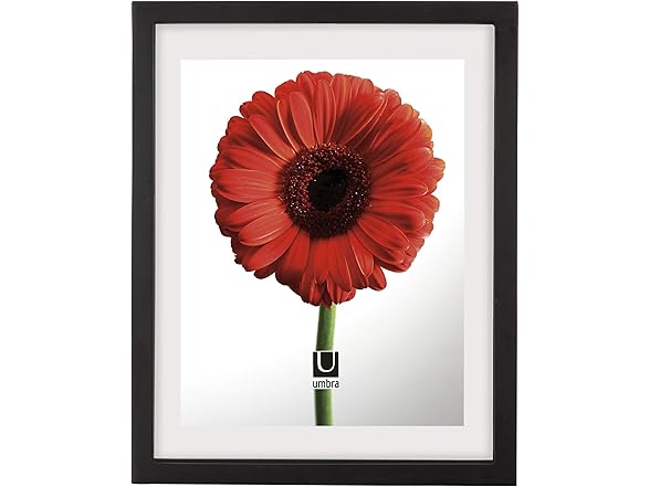 Umbra Umbra Document Frame - 11x14 Picture Fra
