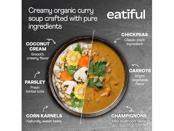 EATIFUL Curry Soup 14Ounce Pack of 10