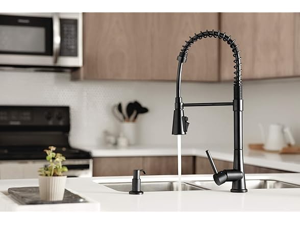 Precept Pull-Down Faucet