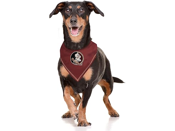 Pets First NCAA Tie Bandana, S/M