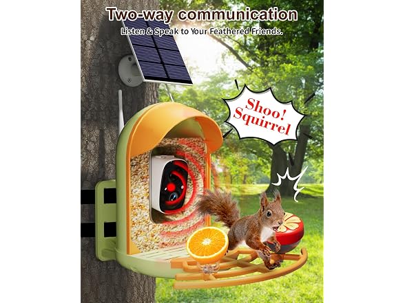 Solar Powered Bird Feeder with Camera