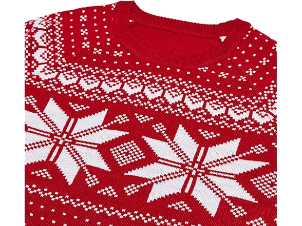 Blueberry Pet AdultSnowflake Ugly Christmas Sweater