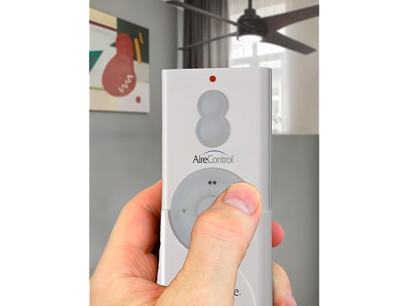 Minka-Aire RC210 Hand Held 32 Bit