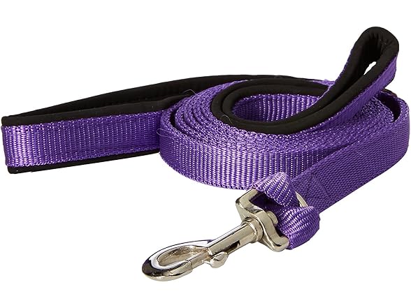 Padded Double Handle Leash with Warranted Re