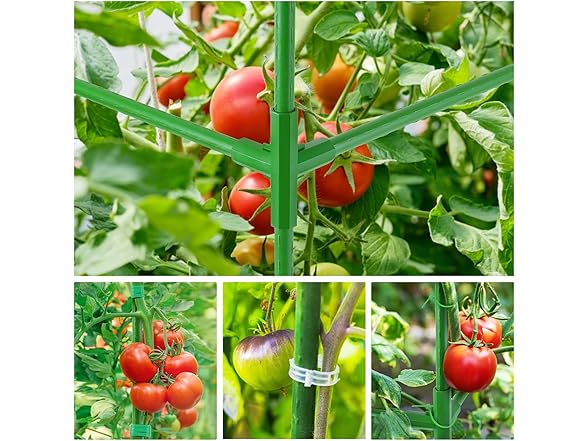POILKMNI 3-in1 Tomato Cage