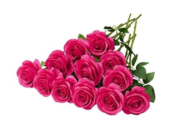 Helera 12PC Hot Pink Roses Artificial