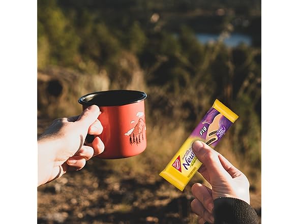 Newtons Fig Bars (10pk)