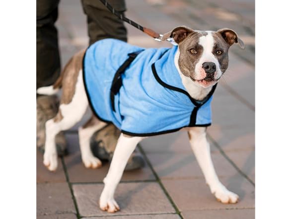 Dog Pajamas After Surgery Dog Recovery Onesi