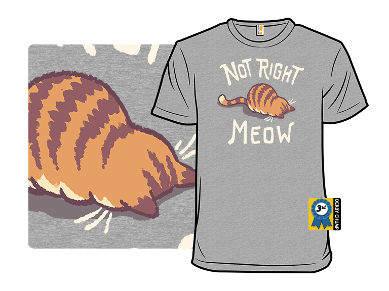 Not Right Meow - Gallery 3