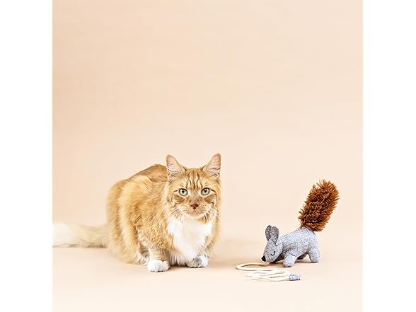 Fringe Studio ONE TUFF NUT Teaser Cat Toy