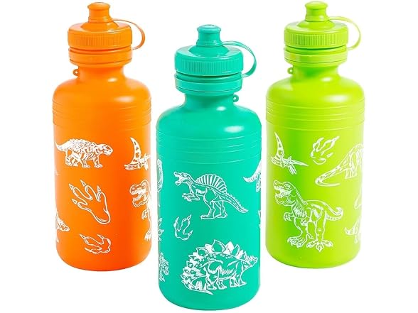 Dinosaur Plastic Water Bottles - 18 oz. (Pack of 12)