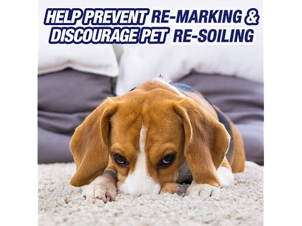 Resolve 99305CT Ultra Pet Stain Spray