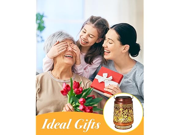 Fussion Hummingbird Solar Lantern