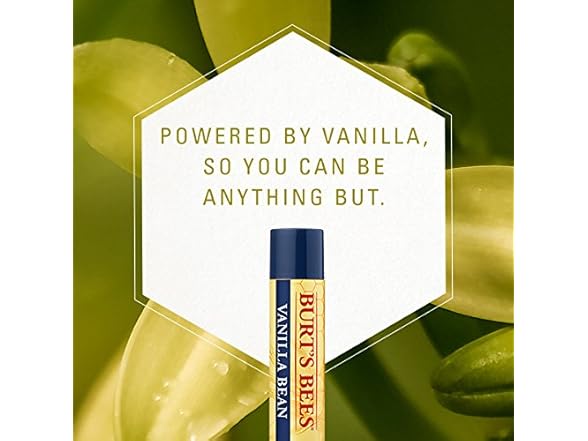 Burt's Bees Moisturizing Lip Balm, Vanilla Bean, 0.15 Ounce