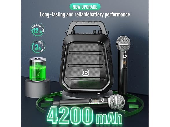 100W Portable Speaker W/ Mic