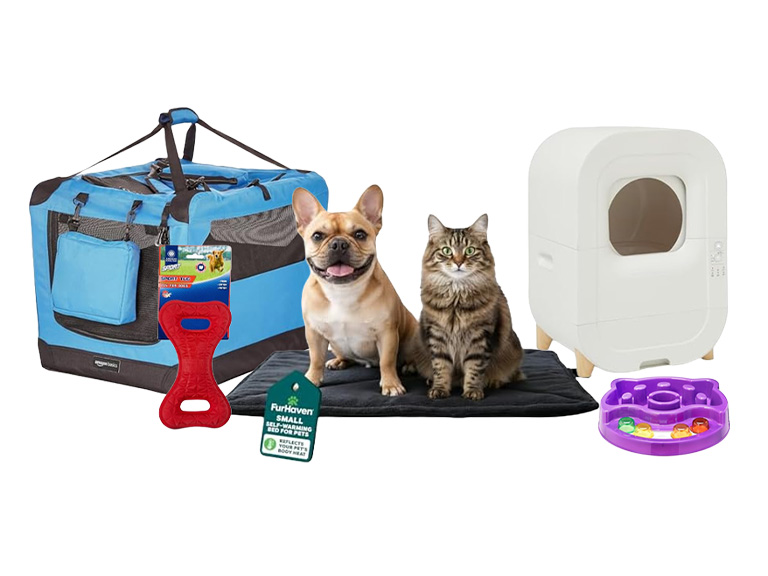 Pet Treasures to Play Hard and Relax Harder - Gallery 2
