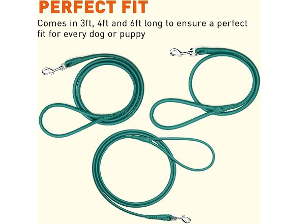 Dogline Rolled Leather Dog Leash - for Small