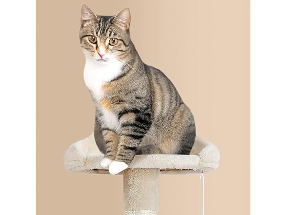 Yaheetech 64.5in Cat Tree for Large Cats, Beige