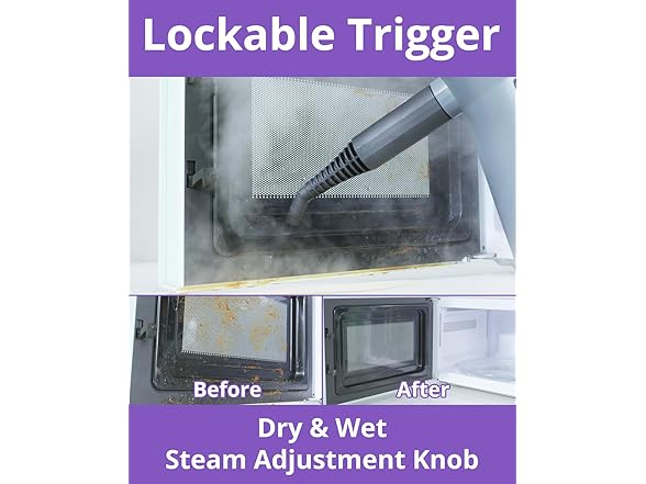 Awasky Handheld Steam Cleaner