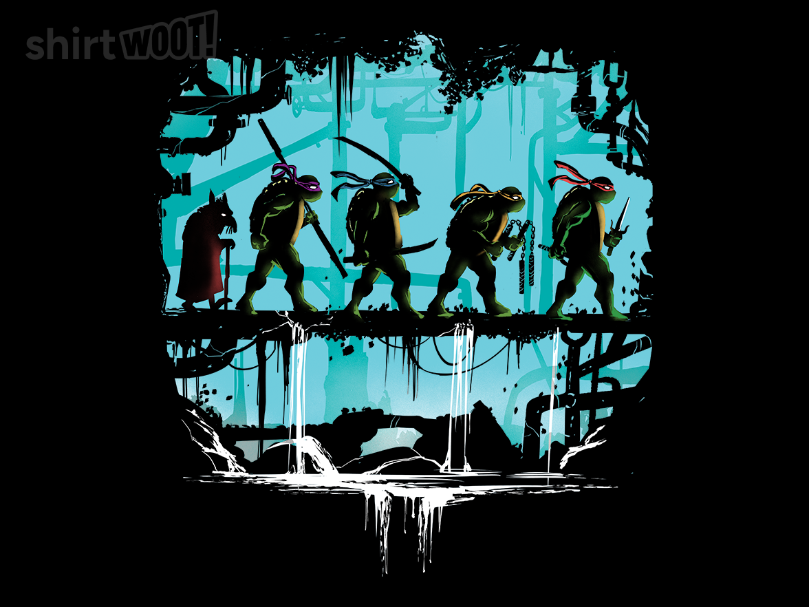 The Fellowship of the Turtles - Gallery 9