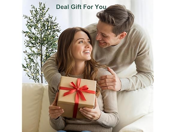 NOVAROOT Artificial Indoor Olive Tree