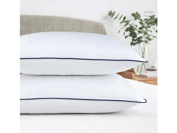Dan River 2 Pack Down Alternative Pillow Set